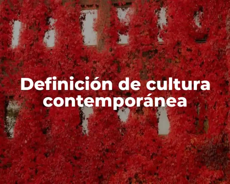 Definición de cultura contemporánea