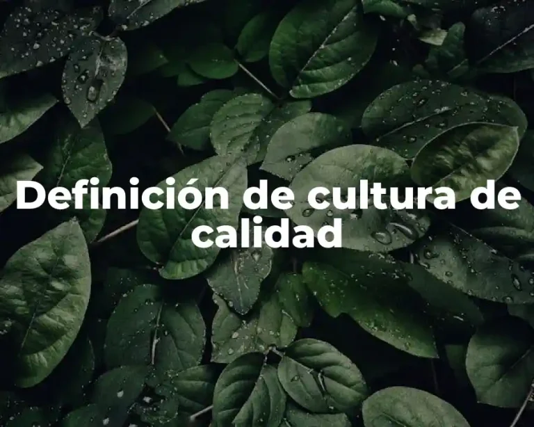Definición de cultura de calidad