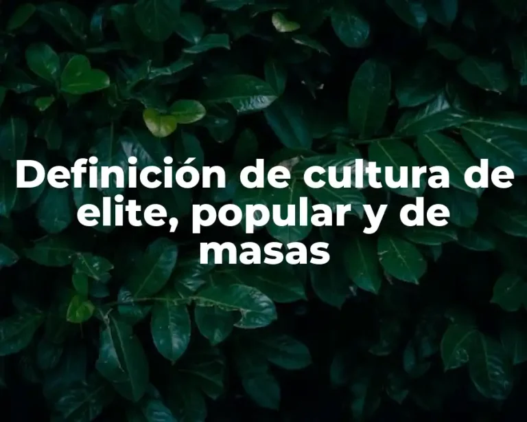 Definición de cultura de elite, popular y de masas