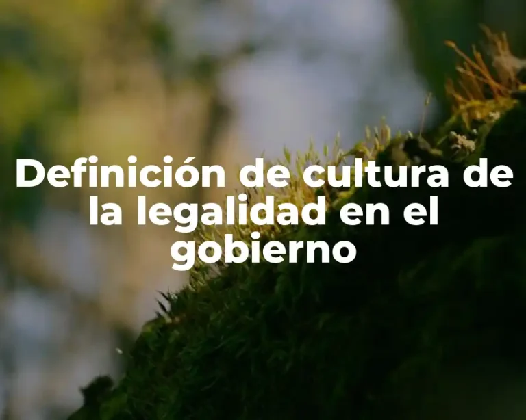 Definición de cultura de la legalidad en el gobierno