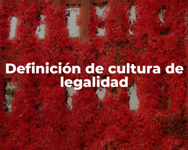 Definición de cultura de legalidad