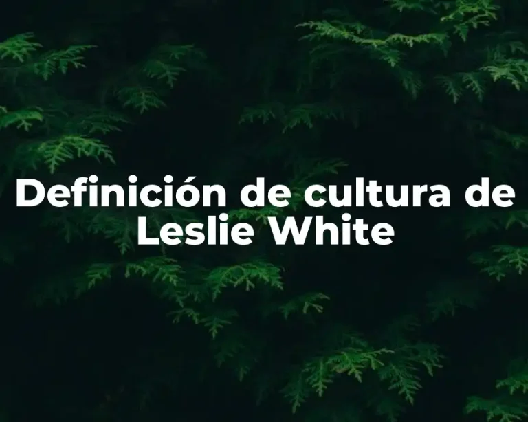 Definición de cultura de Leslie White