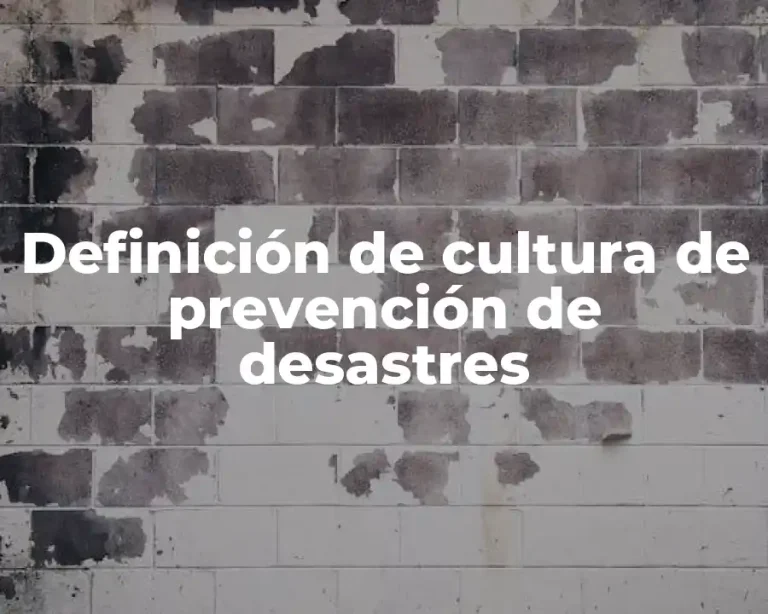 Definición de cultura de prevención de desastres