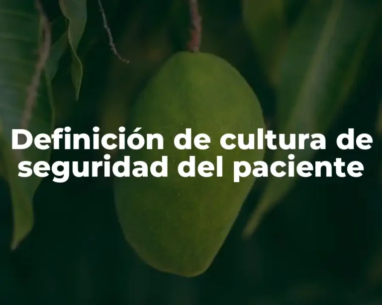 Definición de cultura de seguridad del paciente