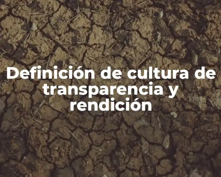 Definición de cultura de transparencia y rendición