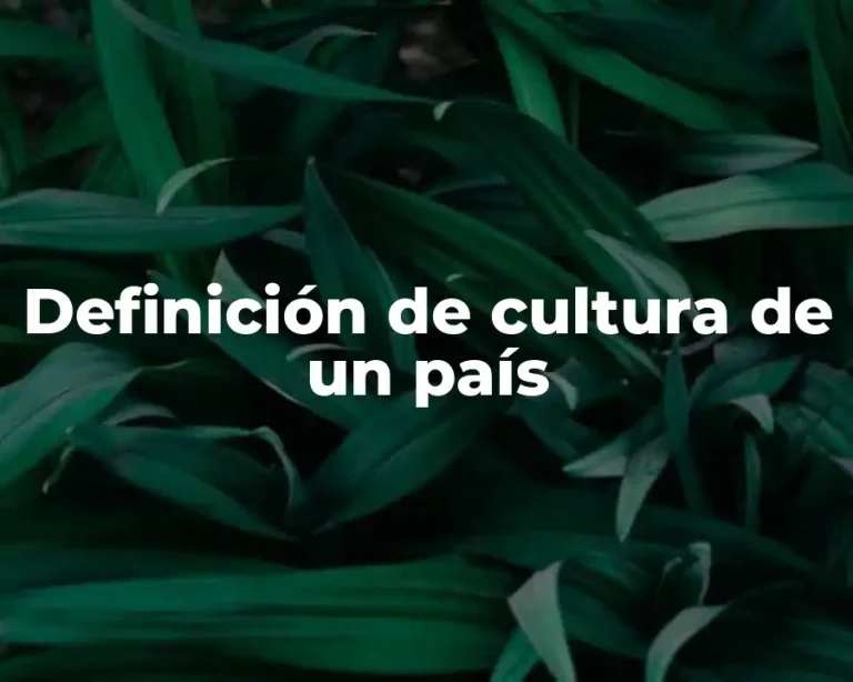 Definición de cultura de un país