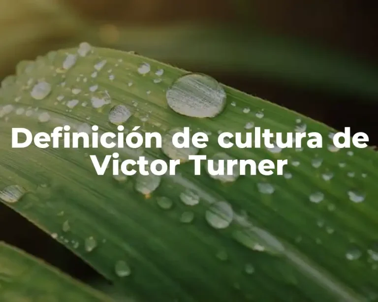 Definición de cultura de Victor Turner