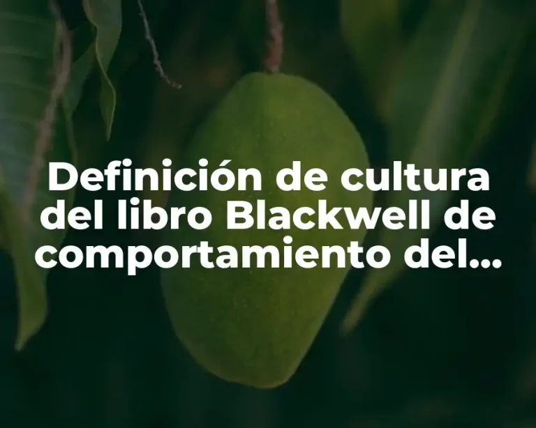 Definición de cultura del libro Blackwell de comportamiento del consumidor