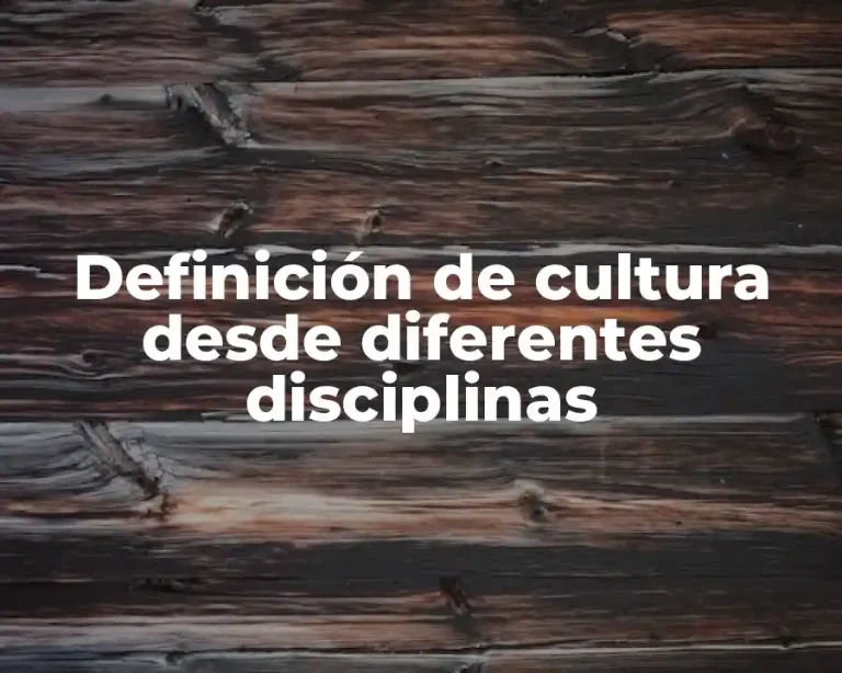 Definición de cultura desde diferentes disciplinas