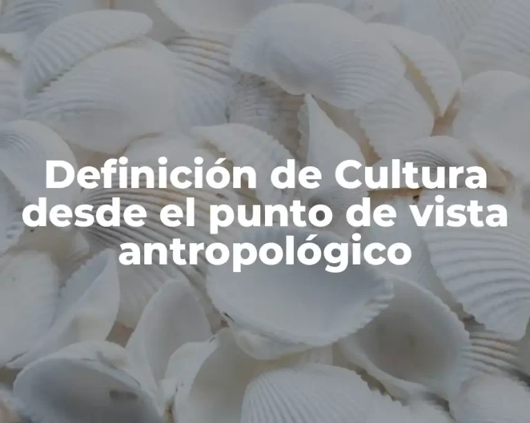 Definición de Cultura desde el punto de vista antropológico