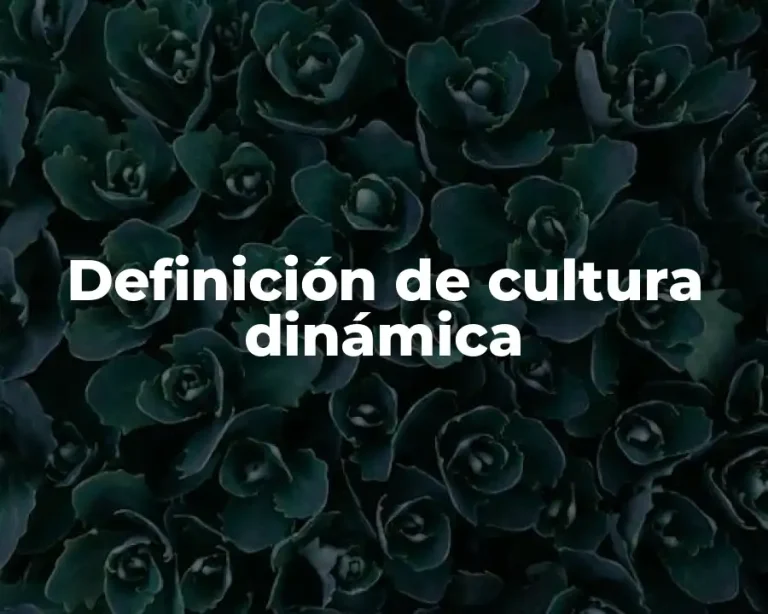 Definición de cultura dinámica