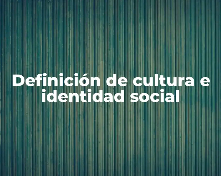 Definición de cultura e identidad social