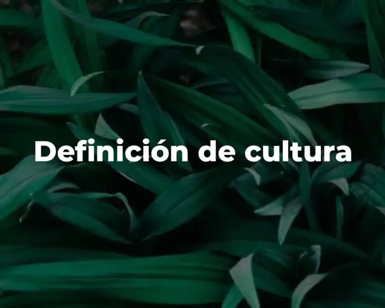 Definición de cultura