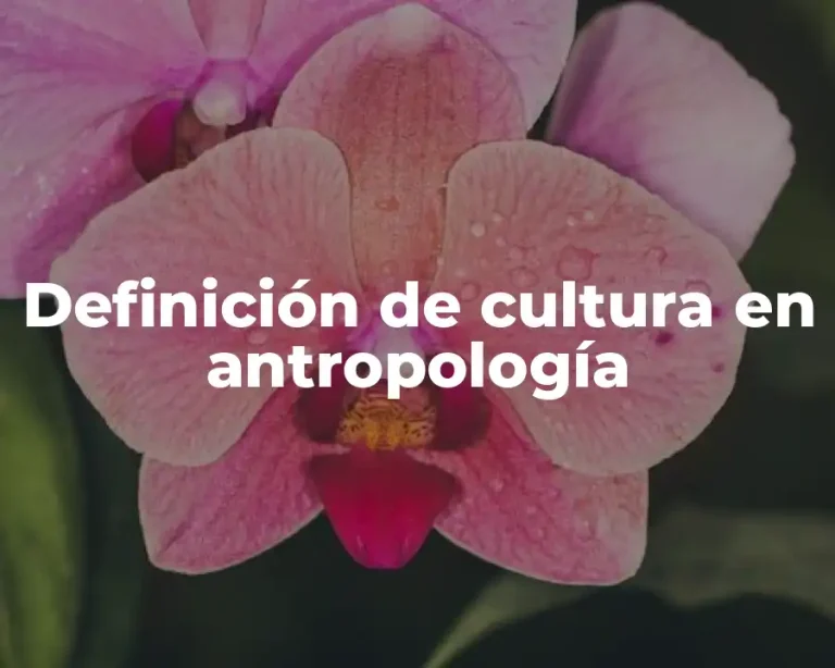 Definición de cultura en antropología