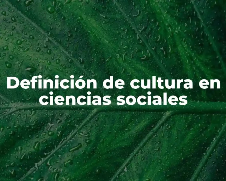Definición de cultura en ciencias sociales