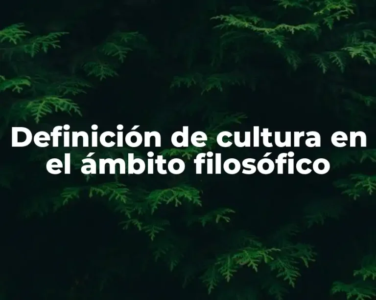 Definición de cultura en el ámbito filosófico