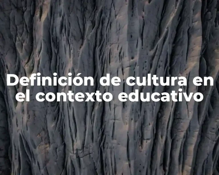 Definición de cultura en el contexto educativo