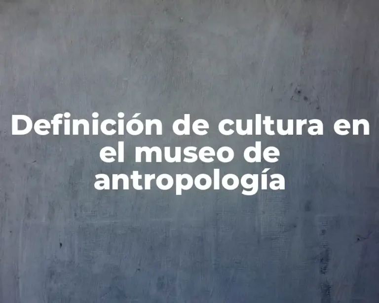 Definición de cultura en el museo de antropología