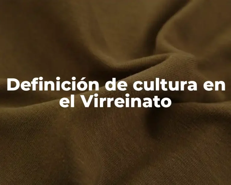 Definición de cultura en el Virreinato