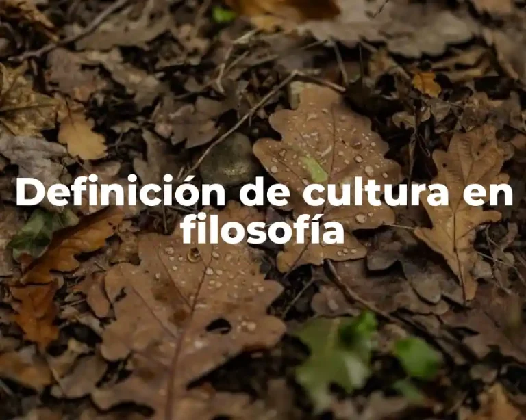 Definición de cultura en filosofía