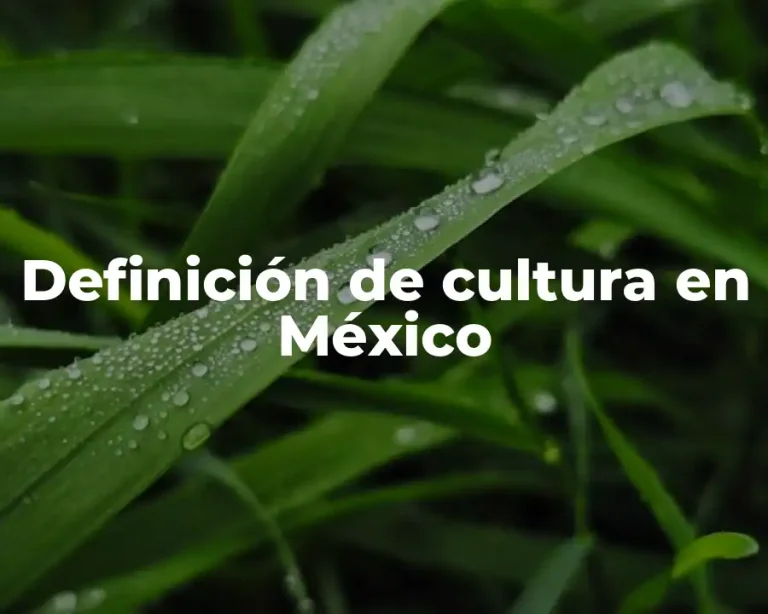 Definición de cultura en México
