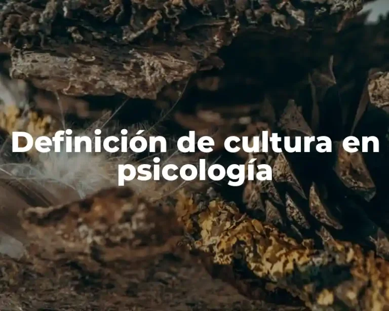 Definición de cultura en psicología