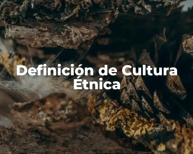 Definición de Cultura Étnica