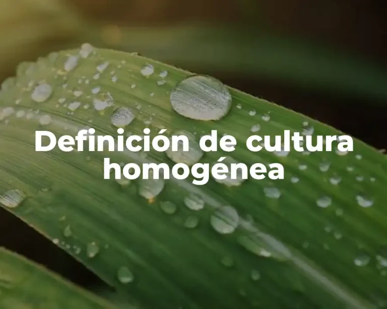 Definición de cultura homogénea