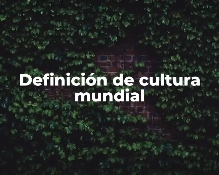 Definición de cultura mundial
