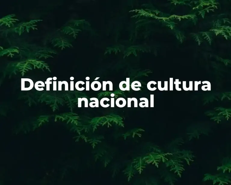 Definición de cultura nacional