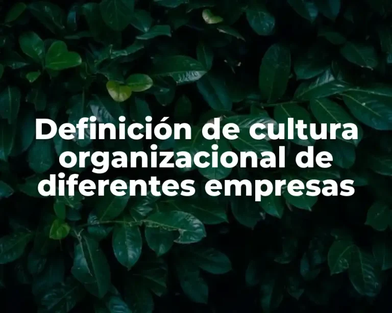 Definición de cultura organizacional de diferentes empresas