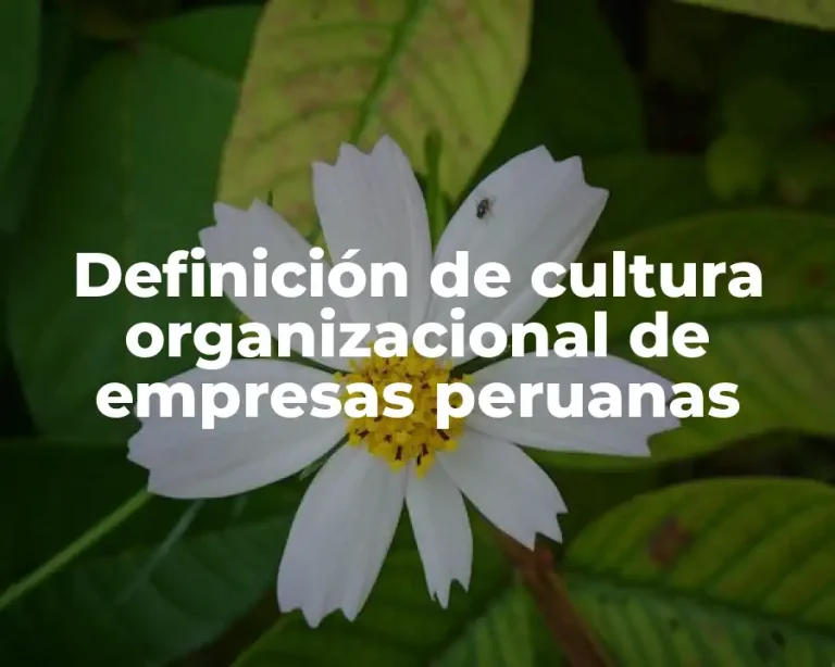 Definición de cultura organizacional de empresas peruanas