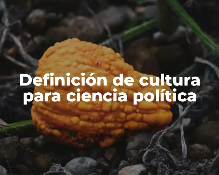 Definición de cultura para ciencia política