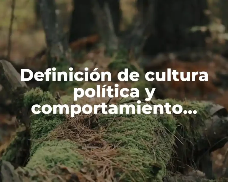 Definición de cultura política y comportamiento electoral