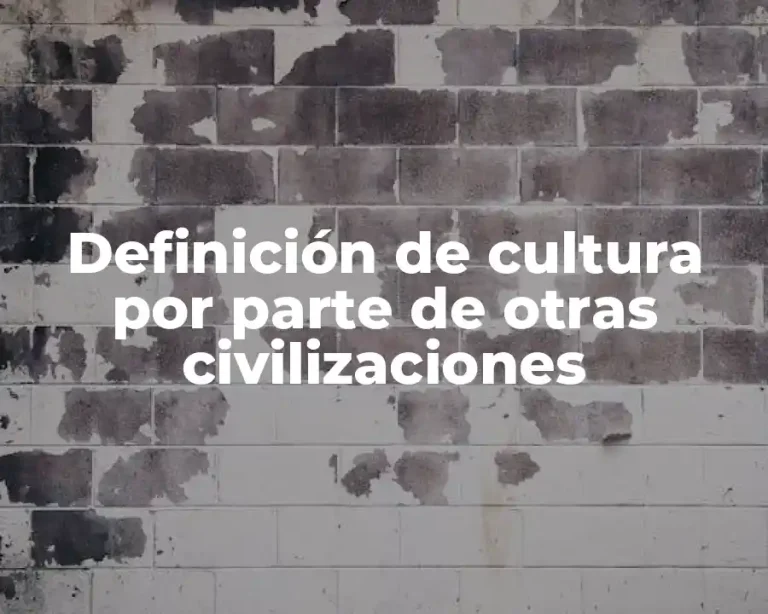 Definición de cultura por parte de otras civilizaciones