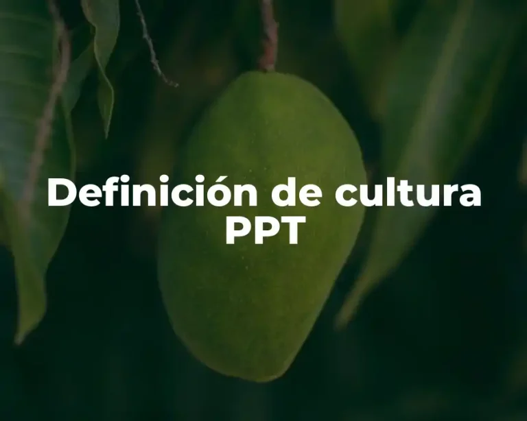 Definición de cultura PPT