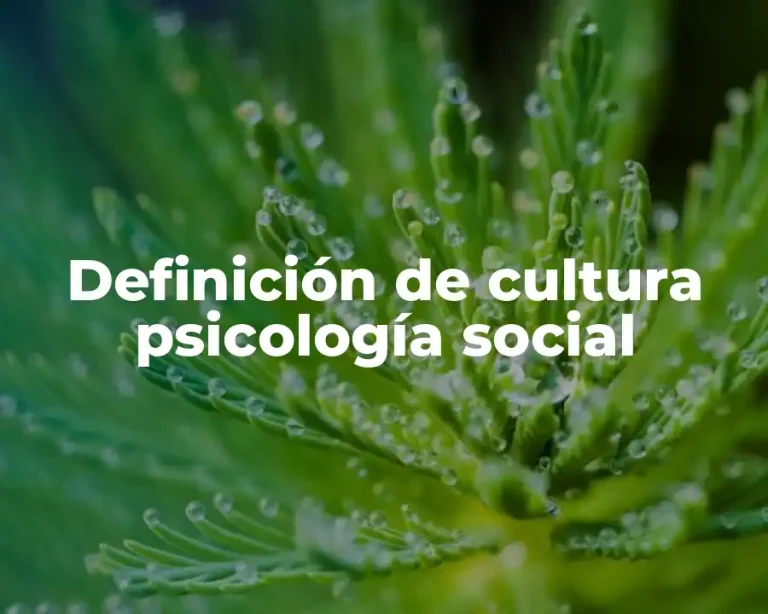Definición de cultura psicología social
