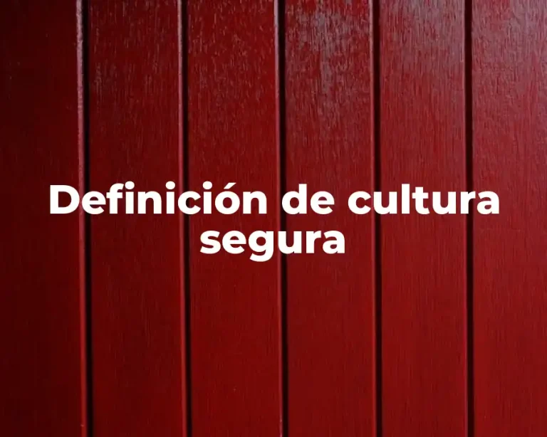 Definición de cultura segura