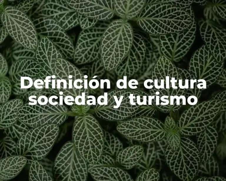 Definición de cultura sociedad y turismo