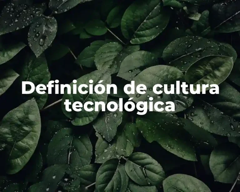 Definición de cultura tecnológica