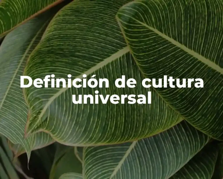 Definición de cultura universal