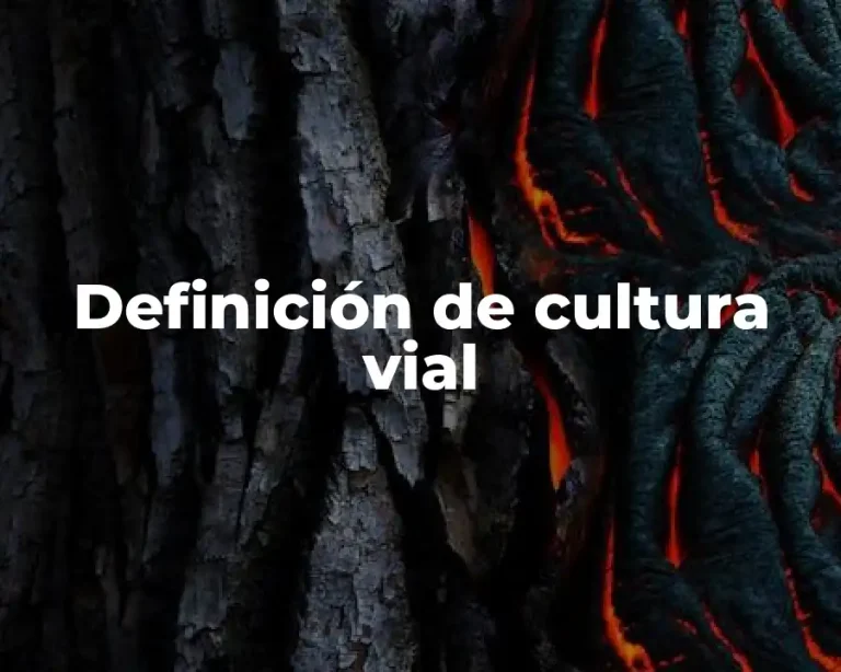 Definición de cultura vial