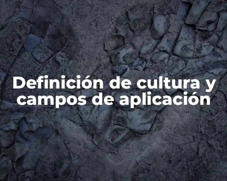 Definición de cultura y campos de aplicación