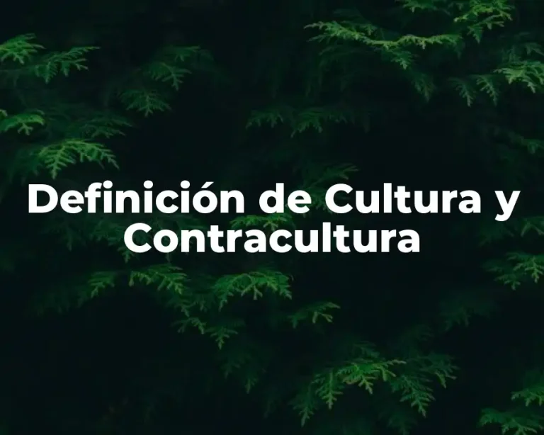 Definición de Cultura y Contracultura