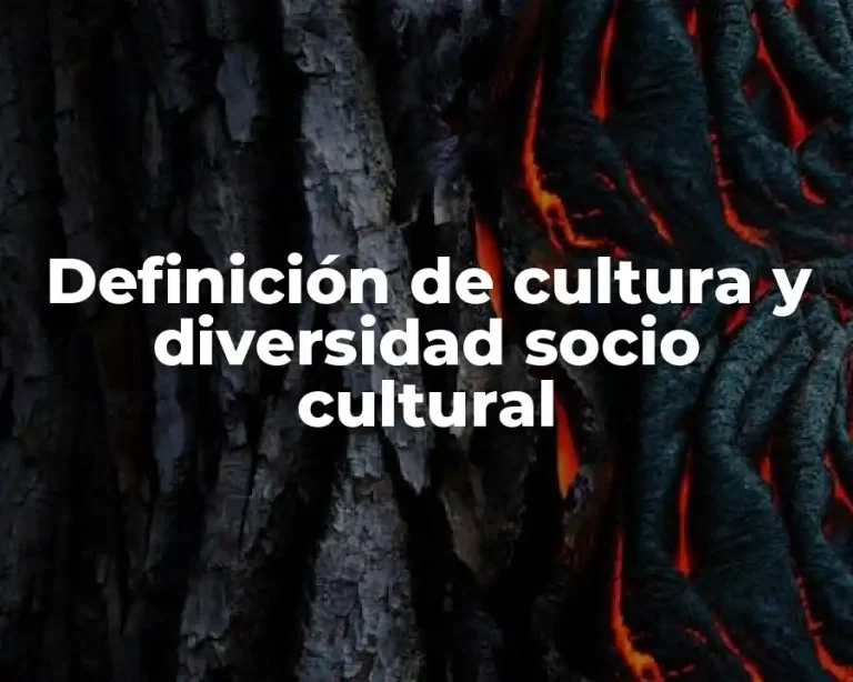 Definición de cultura y diversidad socio cultural