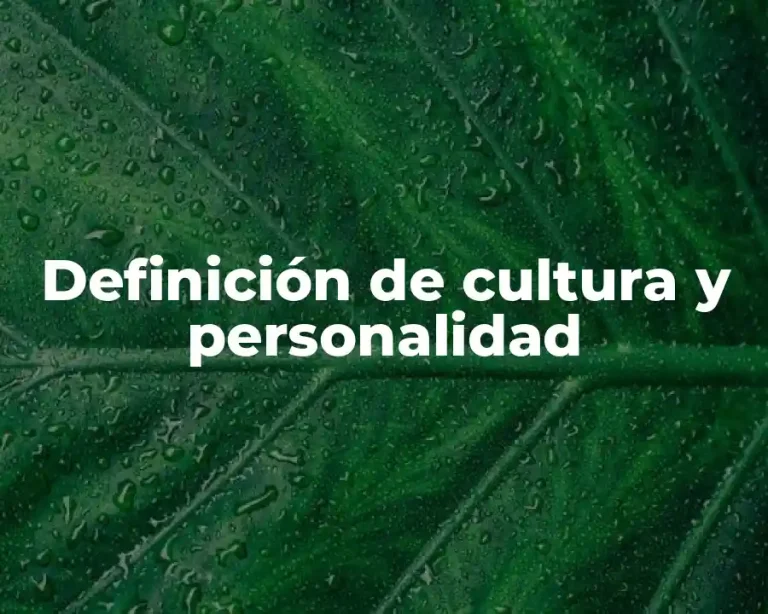 Definición de cultura y personalidad