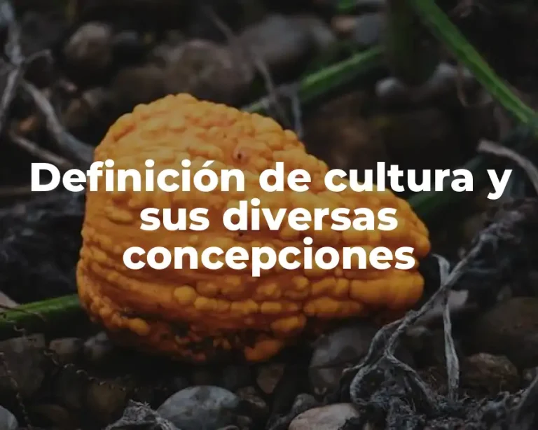 Definición de cultura y sus diversas concepciones