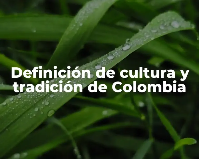 Definición de cultura y tradición de Colombia