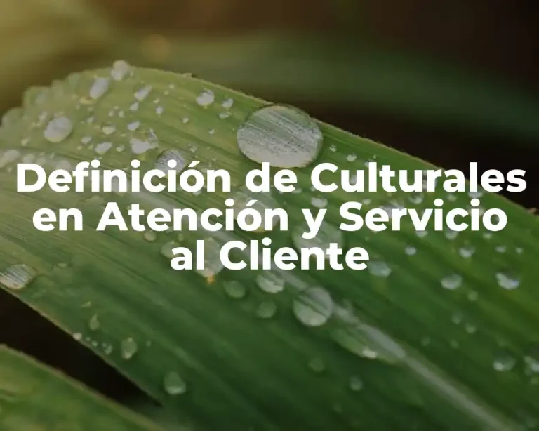 Definición de Culturales en Atención y Servicio al Cliente