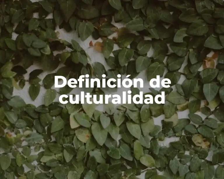 Definición de culturalidad